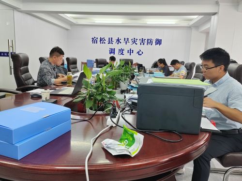 審計(jì)服務(wù)與社會(huì)經(jīng)濟(jì)咨詢(xún)協(xié)同發(fā)力，助推經(jīng)濟(jì)社會(huì)高質(zhì)量發(fā)展